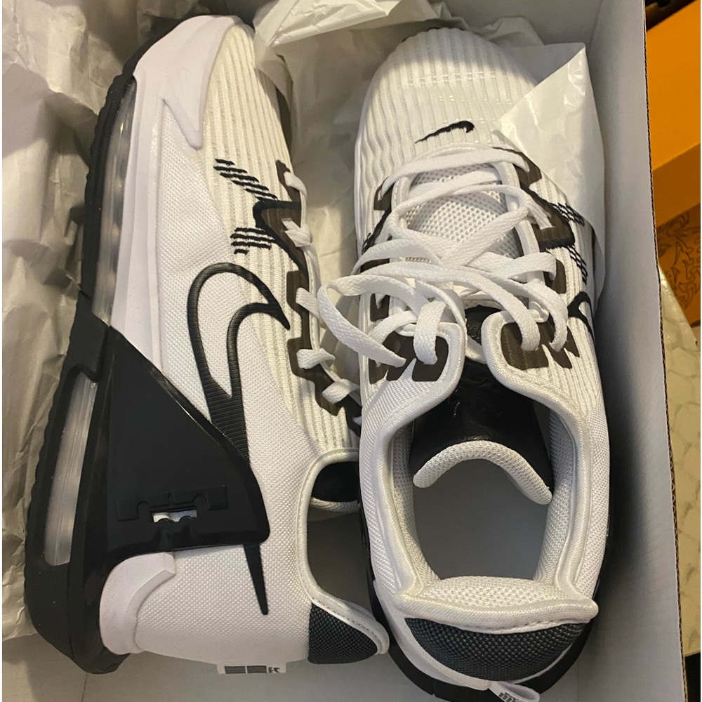 Lebron witness vi